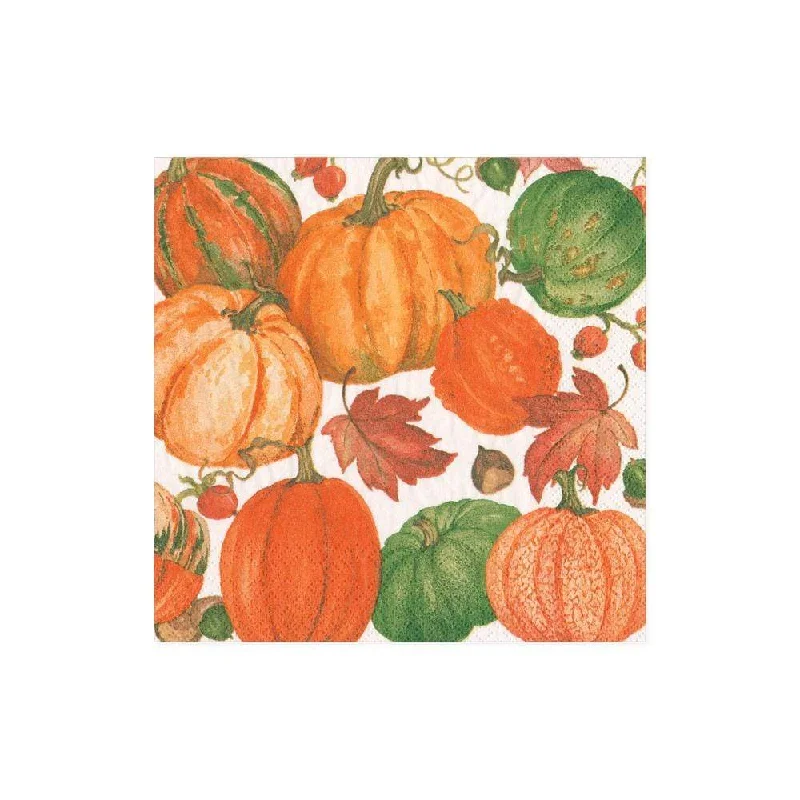 Lightweight cutlery for picnics-Caspari Cocktail Napkins: Pumpkin Field - White