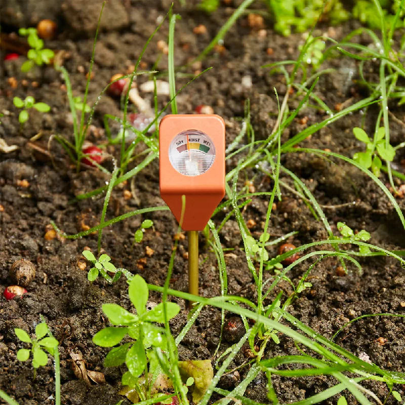 Designer mini sculptures for desks-Garden Hydrometer