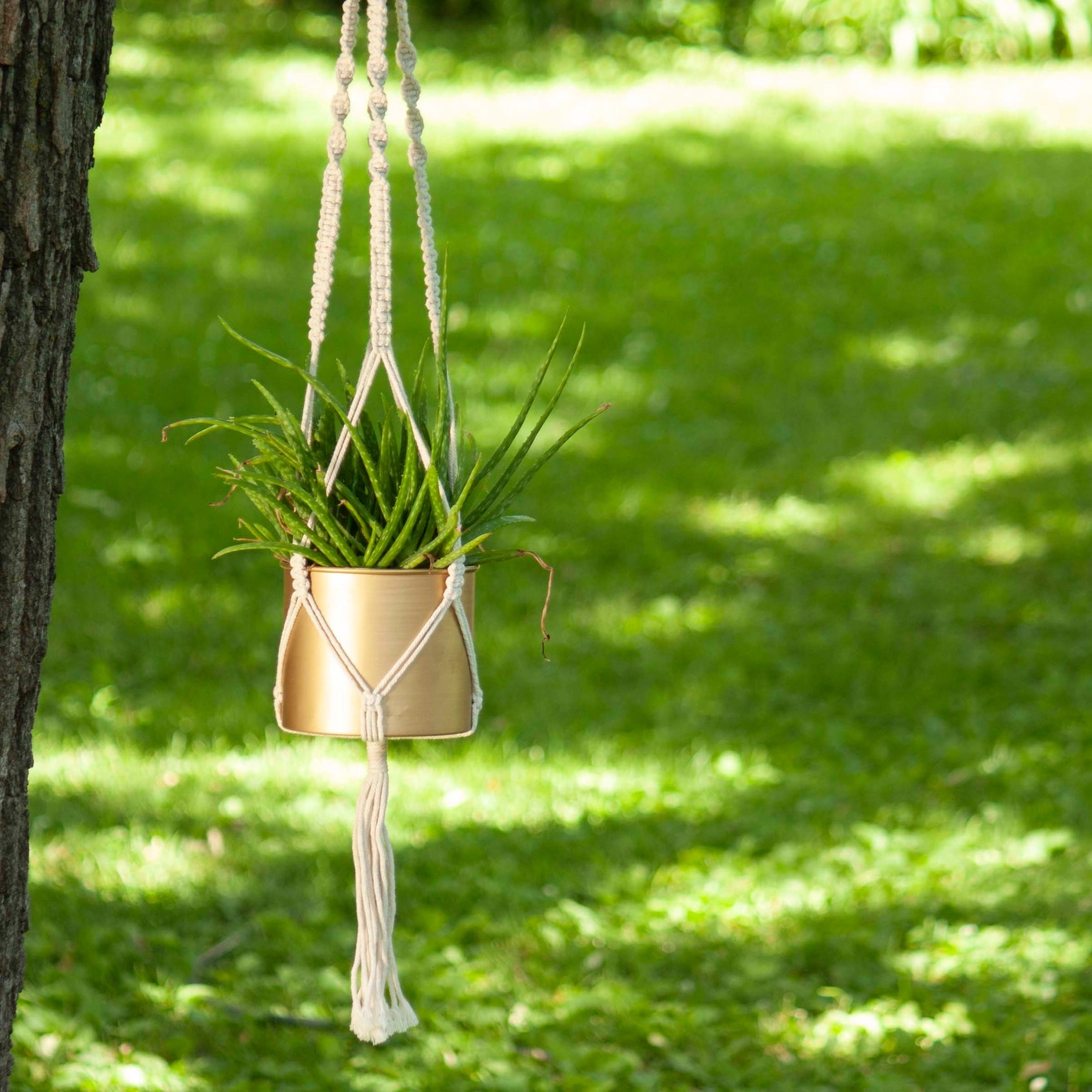 Stylish hanging planters for indoors-Gold Hanging Pot