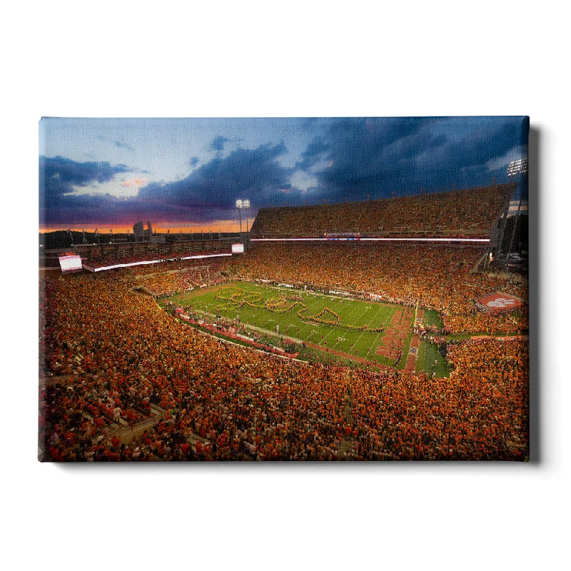 Luxury ceiling fans with lights-Clemson Tigers - Tigers Sunset