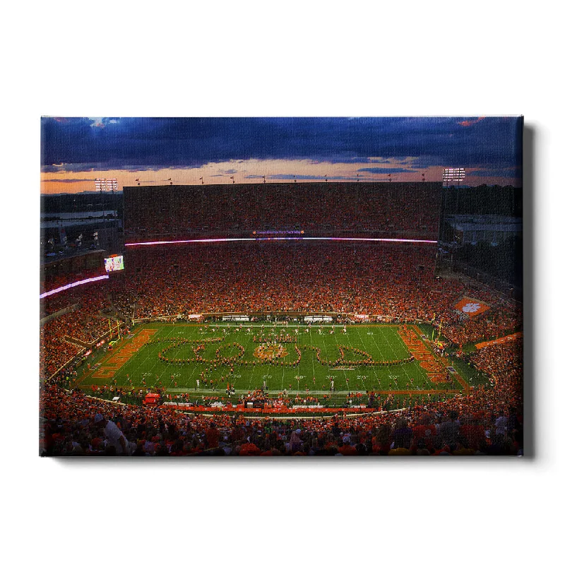 Etched mirrors for bathroom decor-Clemson Tigers - Tigers in Death Valley