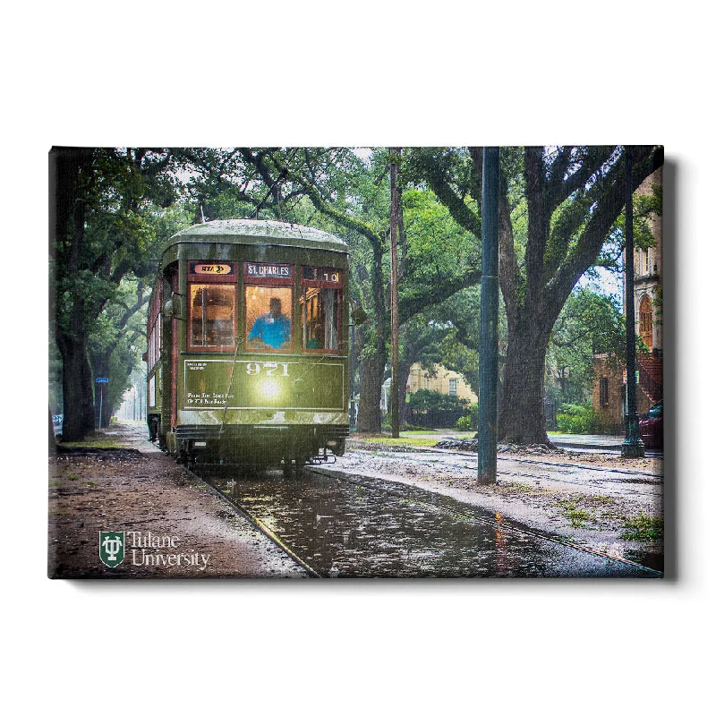 Multi-use wall shelves for books-Tulane  Green Wave - Rainy Day Street Car St. Charles