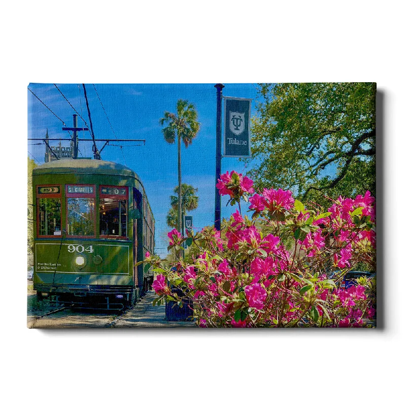 Stylish hanging planters for indoors-Tulane  Green Wave - St. Charles Streetcar Tulane